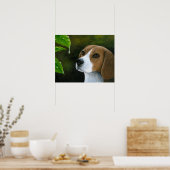 Dog 116 Beagle Poster (Keuken)