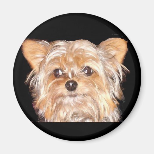 Dog 4, Magnet Magneet (Voorkant)