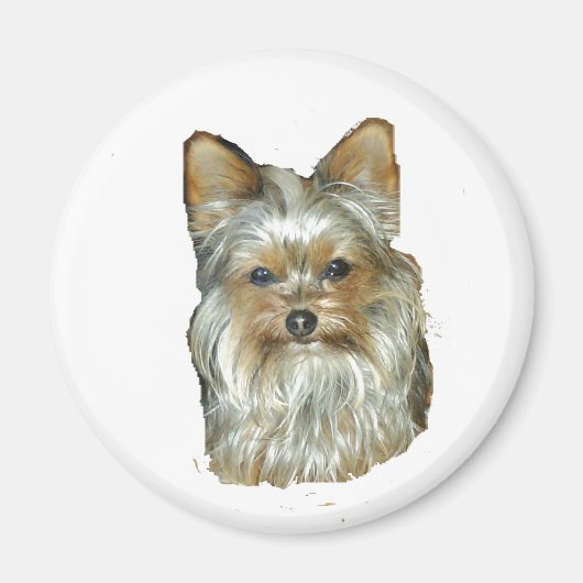 Dog 4B, Yorkshire Terrier, Magnet Magneet (Voorkant)