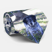 Dog 5, Stropdas (Opgerold)