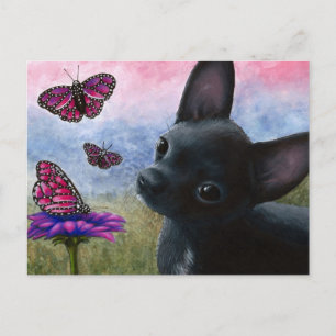 Dog 91 Chihuahua Briefkaart