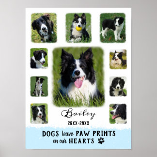 Dog Aangepaste foto Collage Fled Borders White Blu Poster