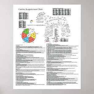 Dog Acupressiekaart Acupunctietabel Poster
