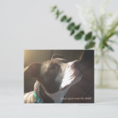 Dog Adoption Shelter Pets Briefkaart (Staand voorkant)