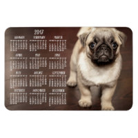Dog agenda 2017 Foto groot magneet, 4x6