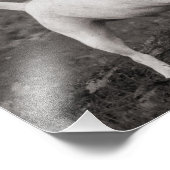 Dog Agog Foto Afdruk (Hoek)