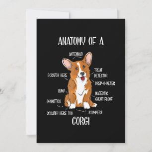 Dog Anatomy, Cute Welsh Corgi Puppy Biology Gift. Feestdagenkaart