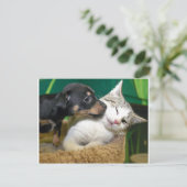 Dog and cat briefkaart (Staand voorkant)