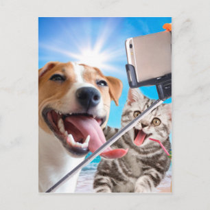 Dog and cat fotographed selfie on the phone briefkaart