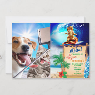 Dog and cat fotographed selfie on the phone kaart