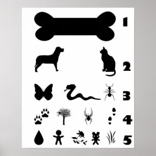 Dog Animal Eye Chart Poster