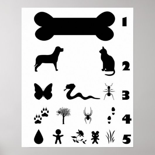 Dog Animal Eye Chart Poster (Voorkant)