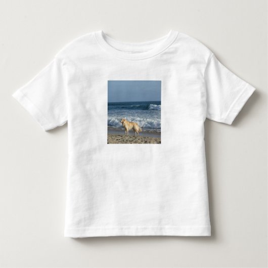 Dog At The Beach Kinder Shirts (Voorkant)