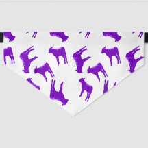 dog bandana