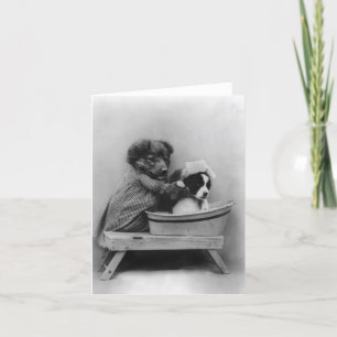 Dog Bathing Dog Kaart