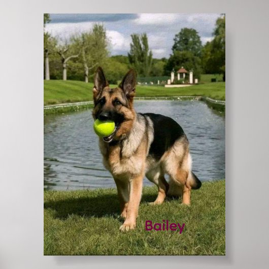 Dog Bathroom Wall Art, Boxer Taking a Bath Poster (Devant)