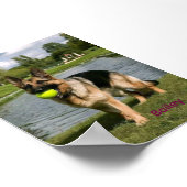Dog Bathroom Wall Art, Boxer Taking a Bath Poster (Coin)