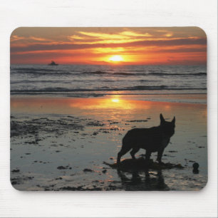 Dog Beach Sunset Muismat