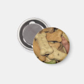 Dog behandelt Magnet Magneet (Voorkant / Achterkant)