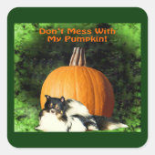 Dog beschermt grote pompoen Halloween Vierkante Sticker (Voorkant)