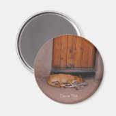 Dog bij Rest Round Magnet Magneet (Voorkant / Achterkant)