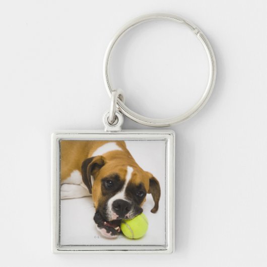 Dog bijten tennisbal sleutelhanger (Voorkant)