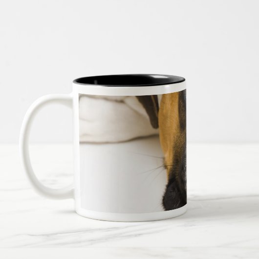 Dog bijten tennisbal tweekleurige koffiemok (Links)