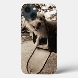 Dog binnen een brievenbus iPhone 13 hoesje