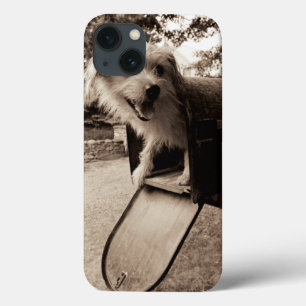 Dog binnen een brievenbus iPhone 13 hoesje
