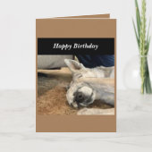 Dog Birthday Card Kaart (Voorkant)