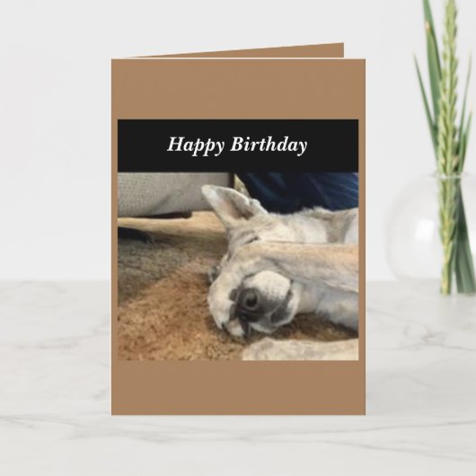 Dog Birthday Card Kaart (Voorkant)