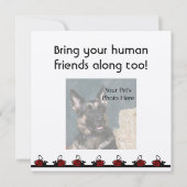 Dog Birthday Invites Kaart (Achterkant)