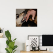 Dog biting vinger poster (Thuiskantoor)