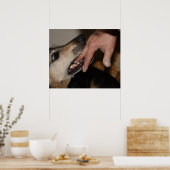 Dog biting vinger poster (Keuken)