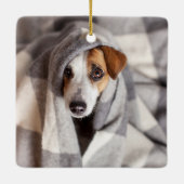 Dog Bone Modern Four Photo Pet Collage Keramisch Ornament (Achterkant)