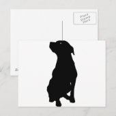 Dog Briefkaart (Voorkant / Achterkant)