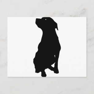 Dog Briefkaart
