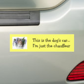 Dog Bumpersticker (Op auto)