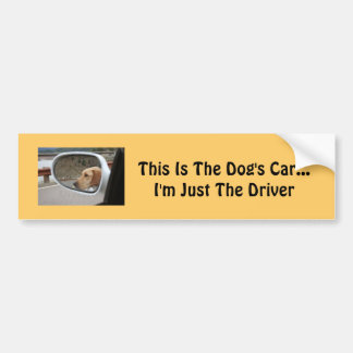 Dog Bumpersticker