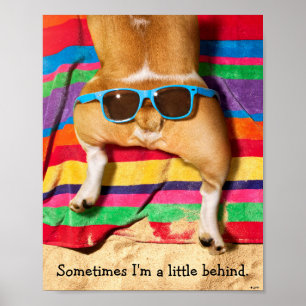 Dog Butt met zonnebril Poster