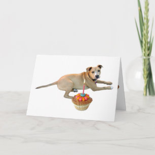 Dog Cake Birthday Card Kaart