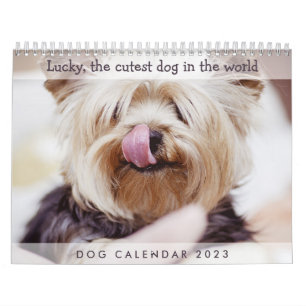 Dog Calendar 2023 voegt uw correcte foto's toe Kalender