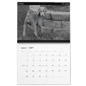 Dog Calendar Kalender (Mar 2027)