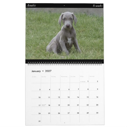 Dog Calendar Kalender (Jan 2027)