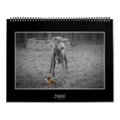 Dog Calendar Kalender (Hoes)