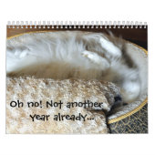 Dog Calendar Kalender (Hoes)