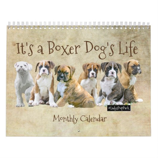 Dog Calendars - Cute Boxer Puppies Kalender (Hoes)