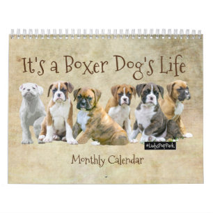 Dog Calendars - Cute Boxer Puppies Kalender