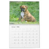 Dog Calendars - Cute Boxer Puppies Kalender (Jan 2026)