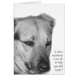 Dog Care en Support Card
